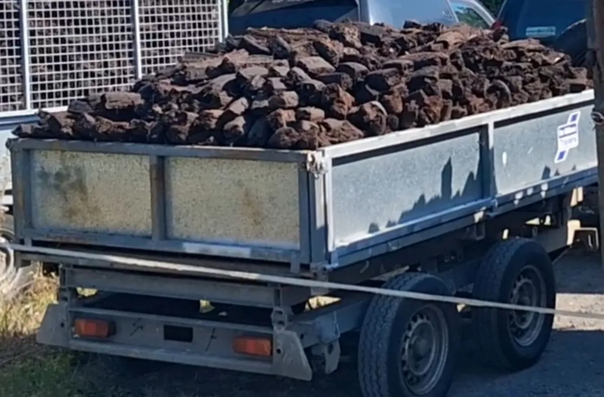 Tipper Trailer 8x5 - Image 2