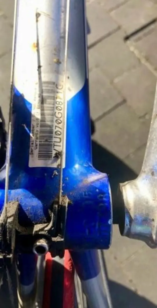 Mans Road bike - Image 2