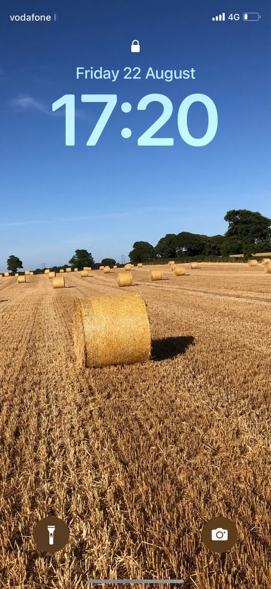 Straw for sale