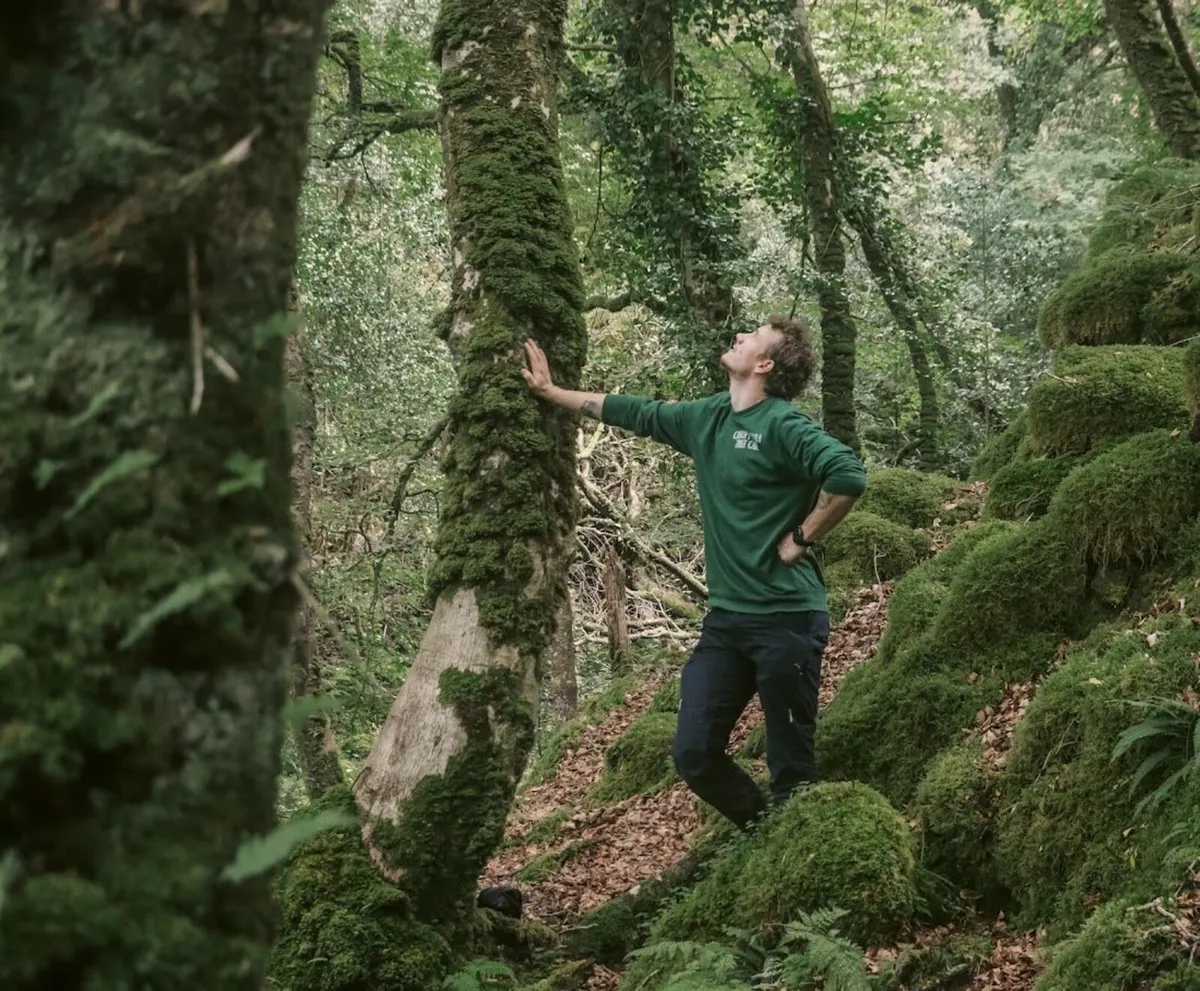 Professional Tree care with a heart - Image 1