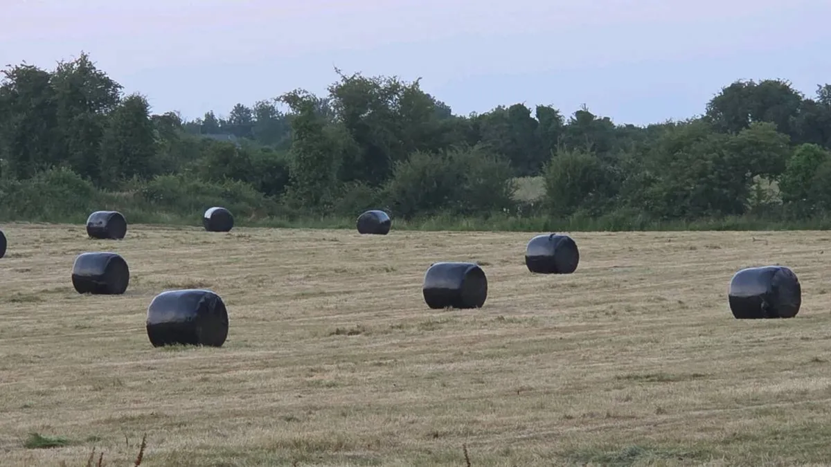 Silage 2026