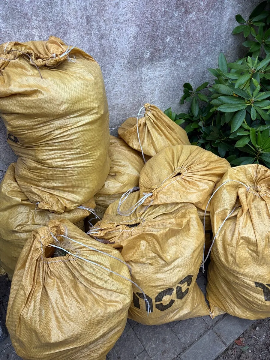 Free Fill dirt/ top soil from old lawn - Image 2