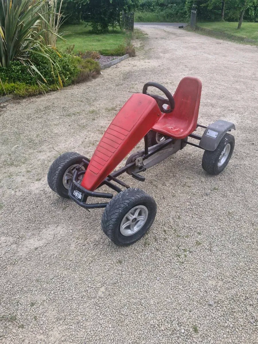 Berg Go Cart read ad - Image 1