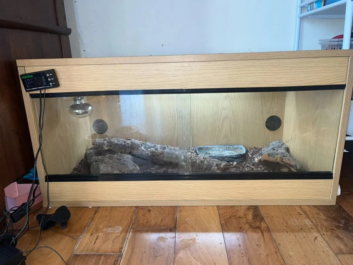 Terrarium. New and used - Image 4