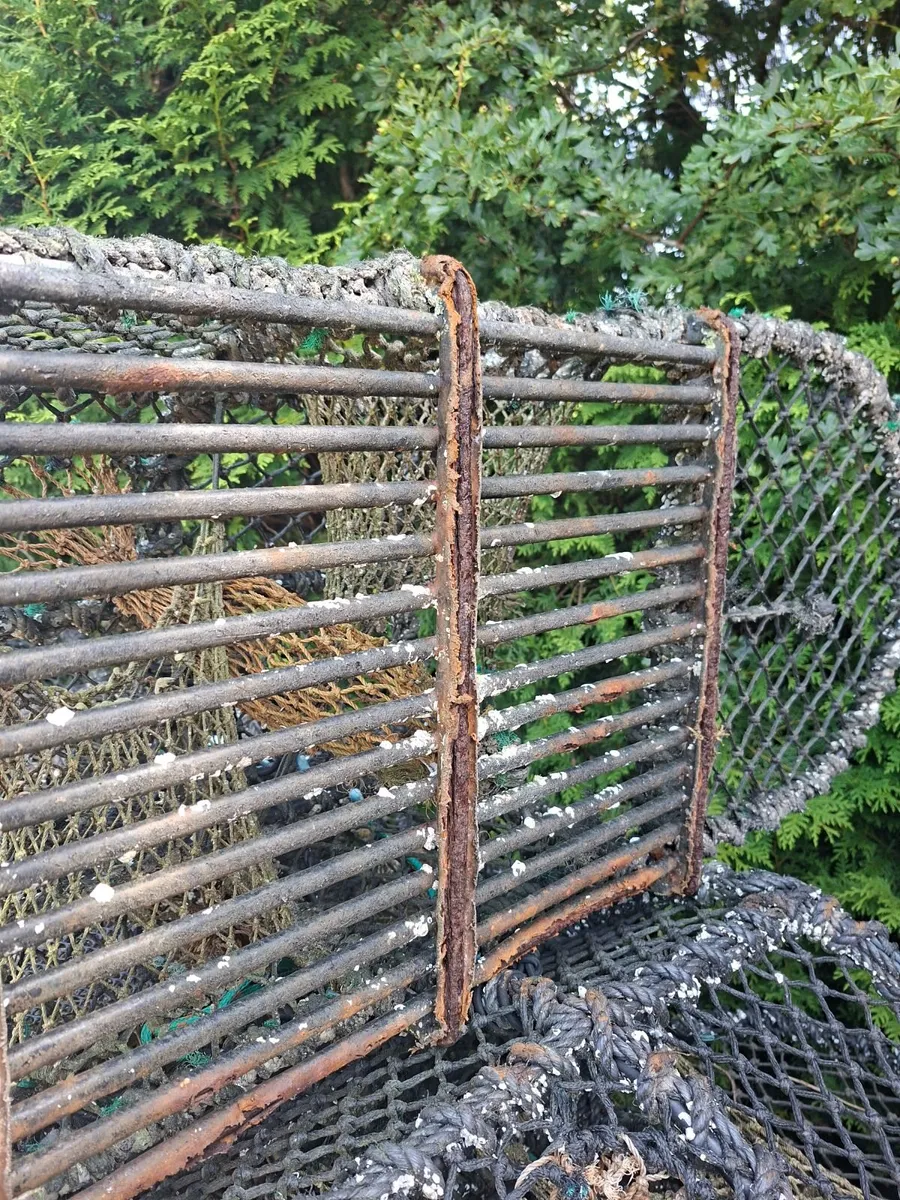 Lobster pots - Image 2