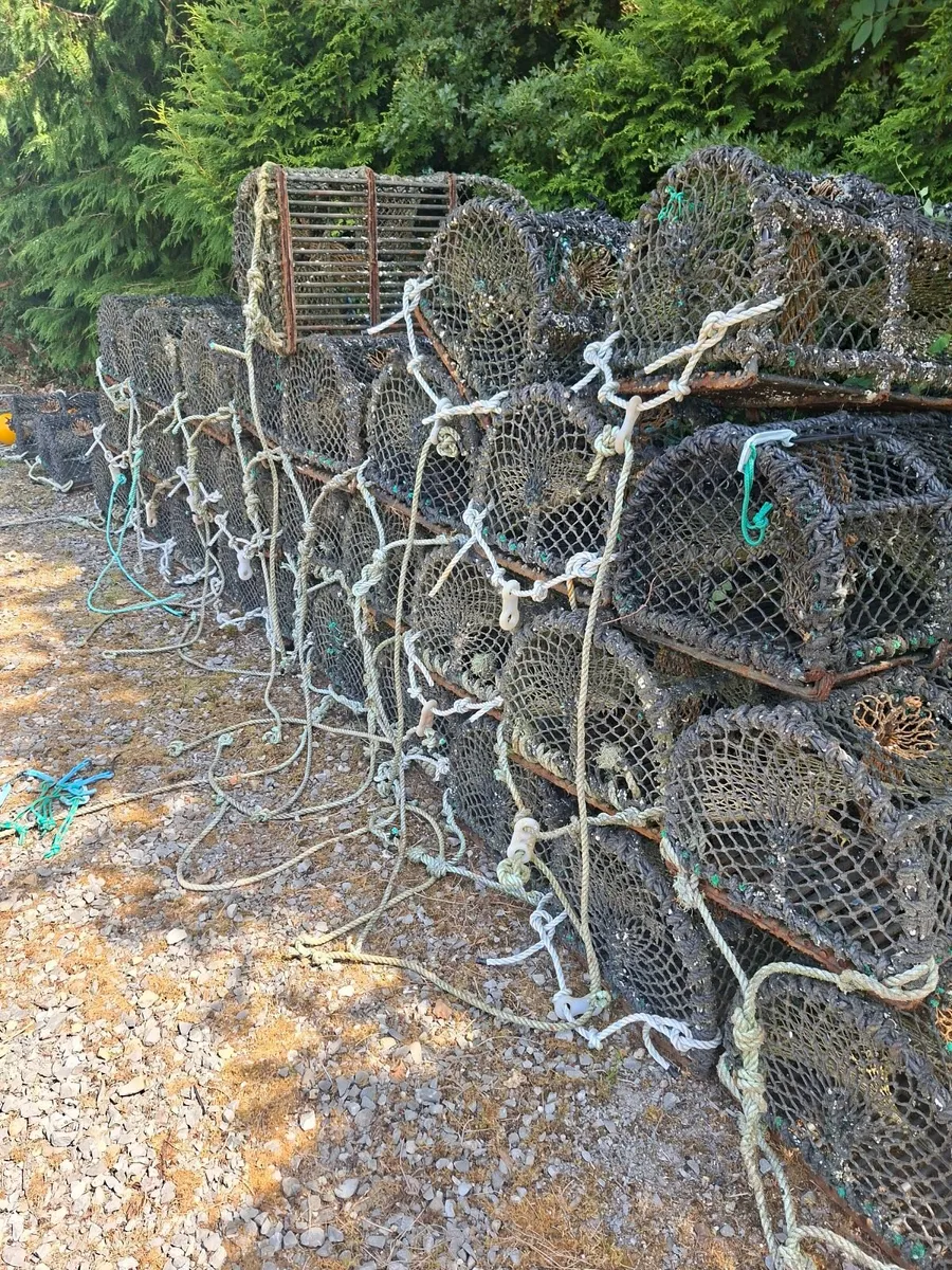 Lobster pots - Image 1