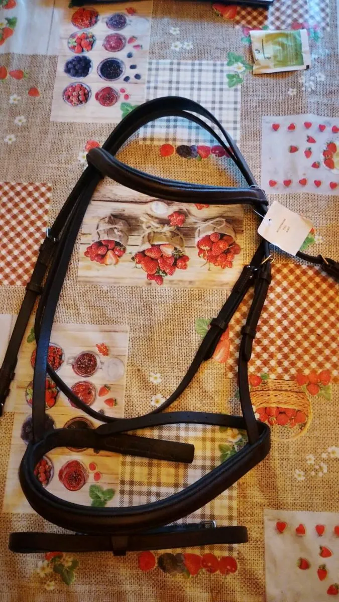 Full bridle with flash full size - Image 1