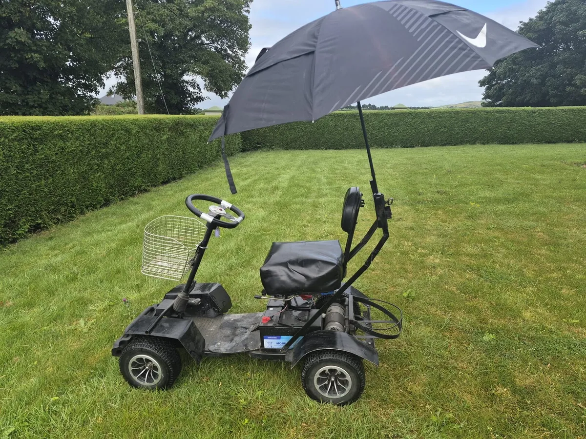 Golf buggy - Image 4