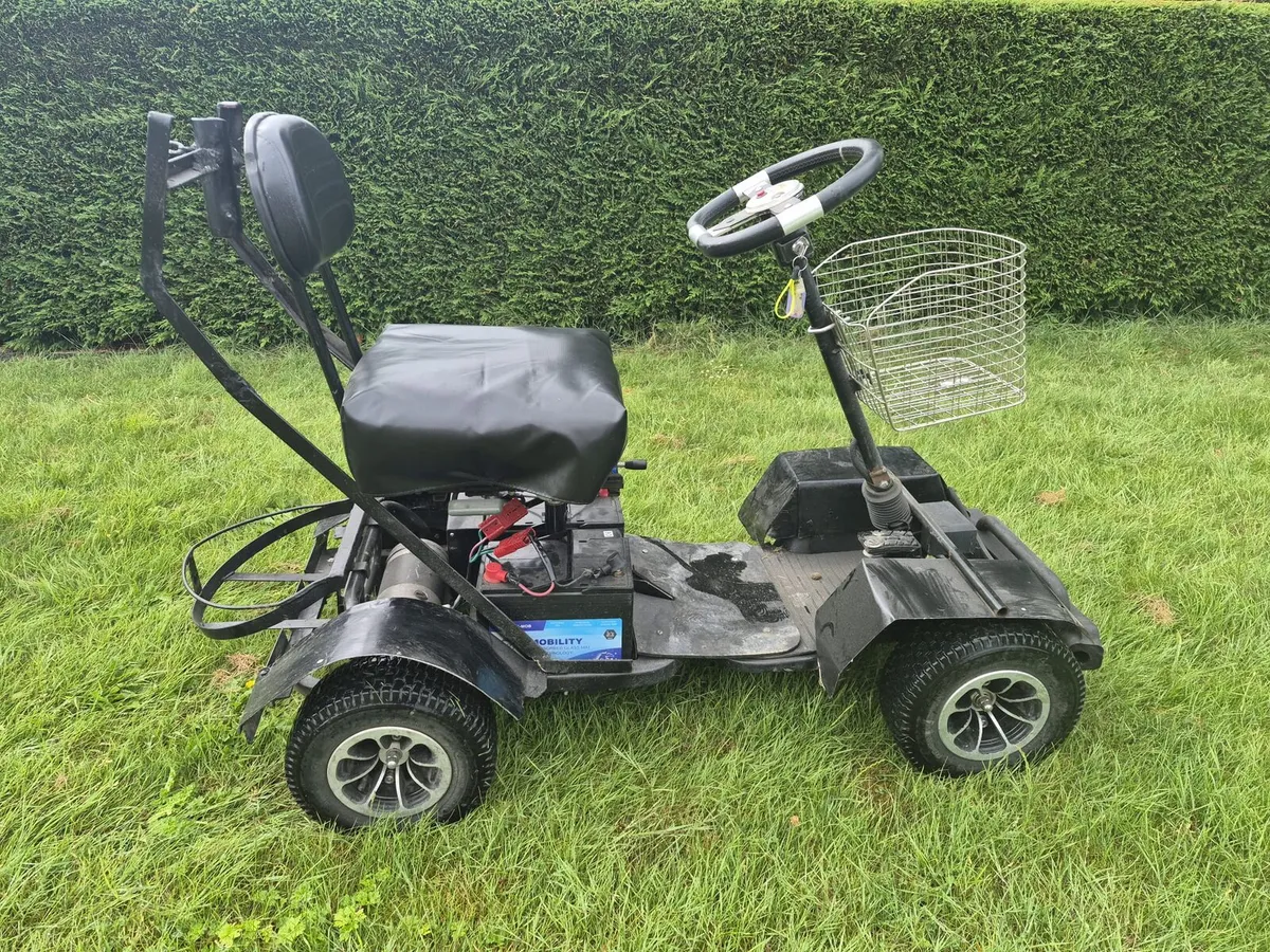 Golf buggy - Image 1