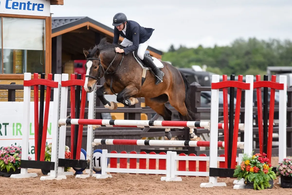 Horse - Image 1