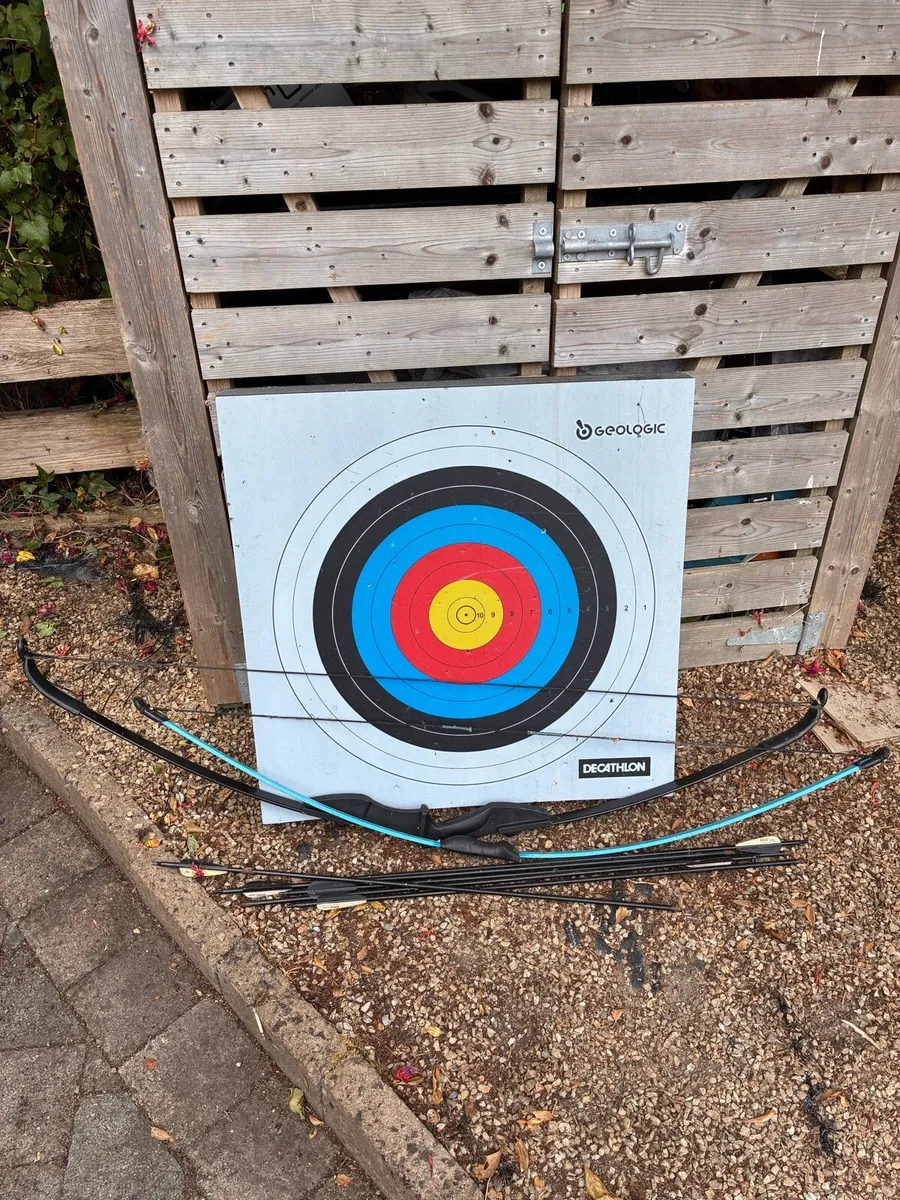 Bow and arrows with target