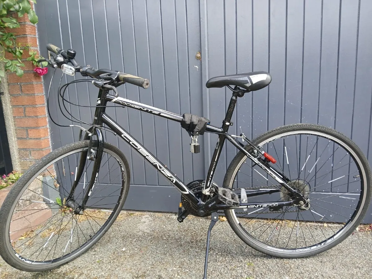 17 inch frame ,Cosenza 21 speed gears - Image 3