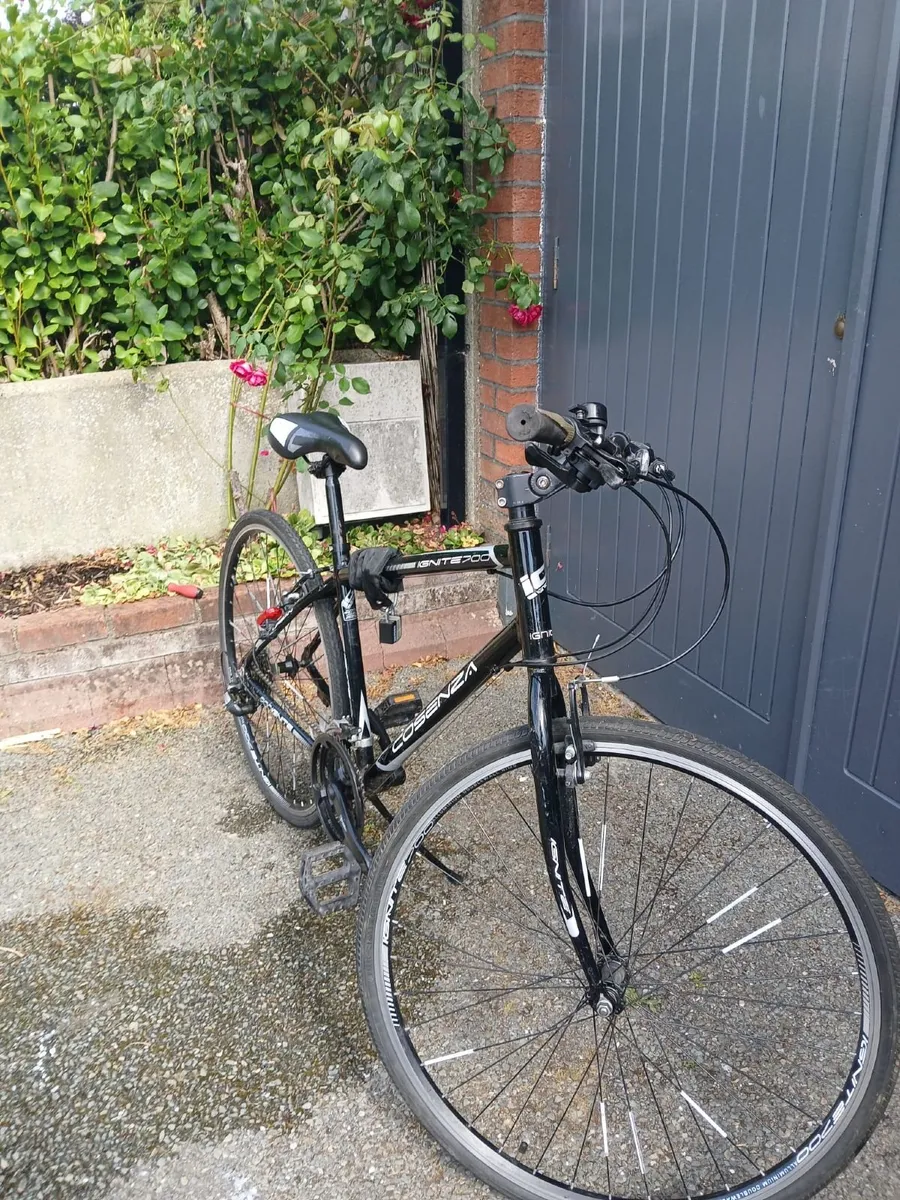 17 inch frame ,Cosenza 21 speed gears - Image 2