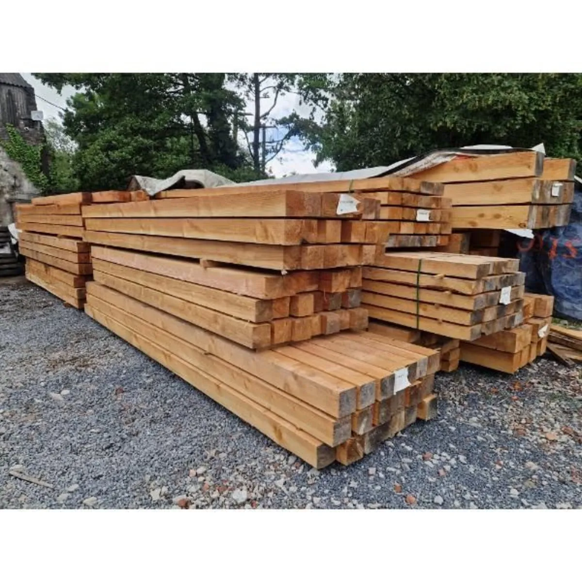 Douglas Fir & Larch Beams Raw State - Image 2