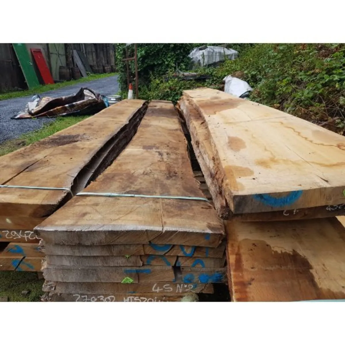 Oak Live Edge – Raw State - Image 3