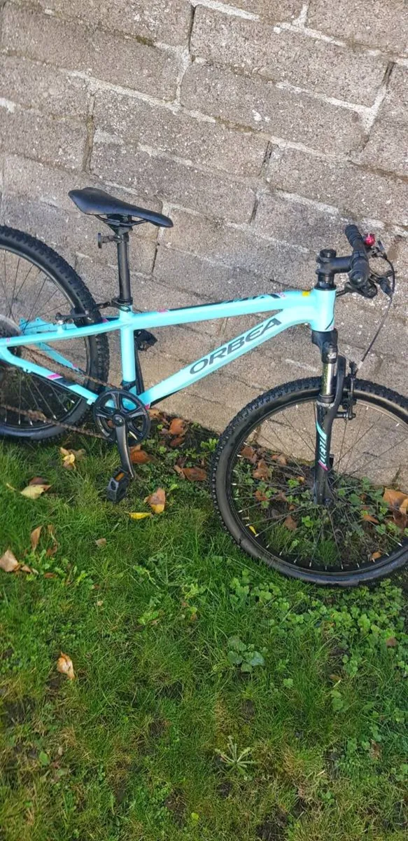 Bike - Image 1