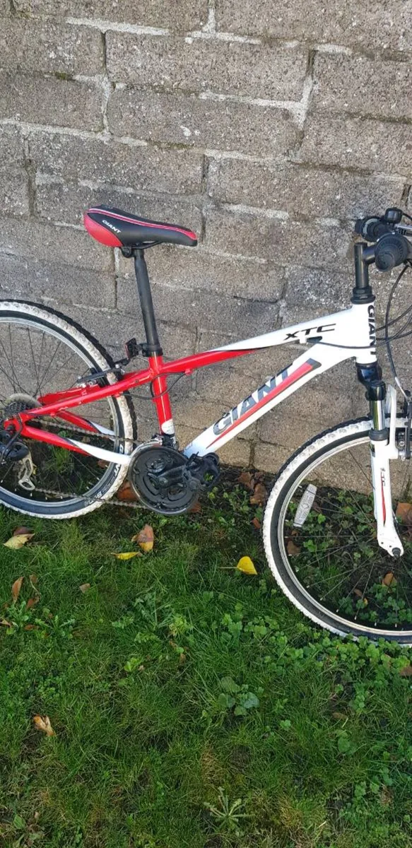 Bike - Image 1