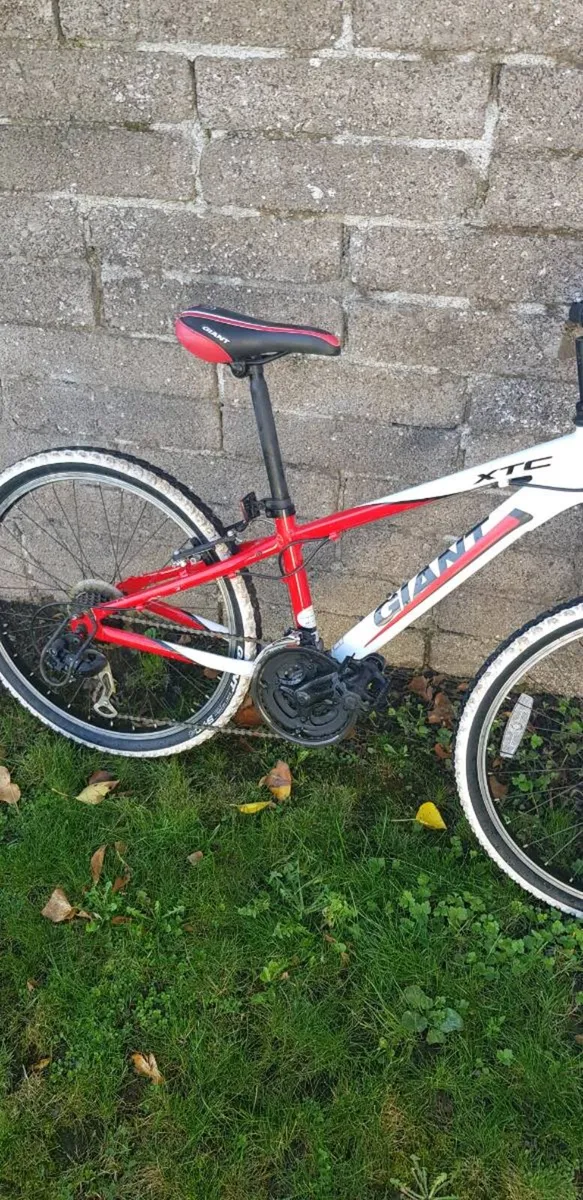 Bike - Image 2