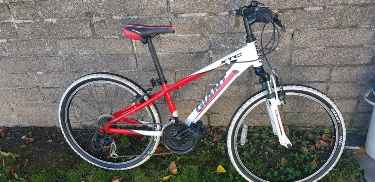 Bike - Image 3