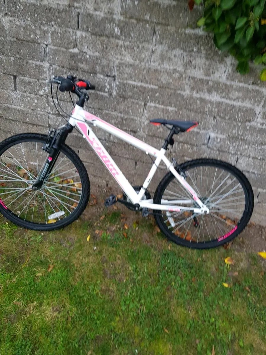 Bike - Image 1