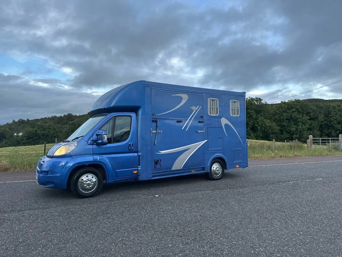 Stallion Horse Truck 2012 NI REGISTERED - Image 1