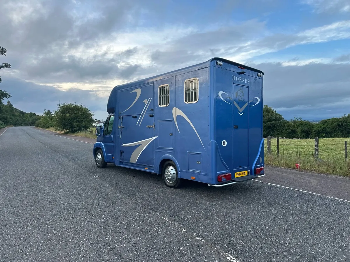 Stallion Horse Truck 2012 NI REGISTERED - Image 3