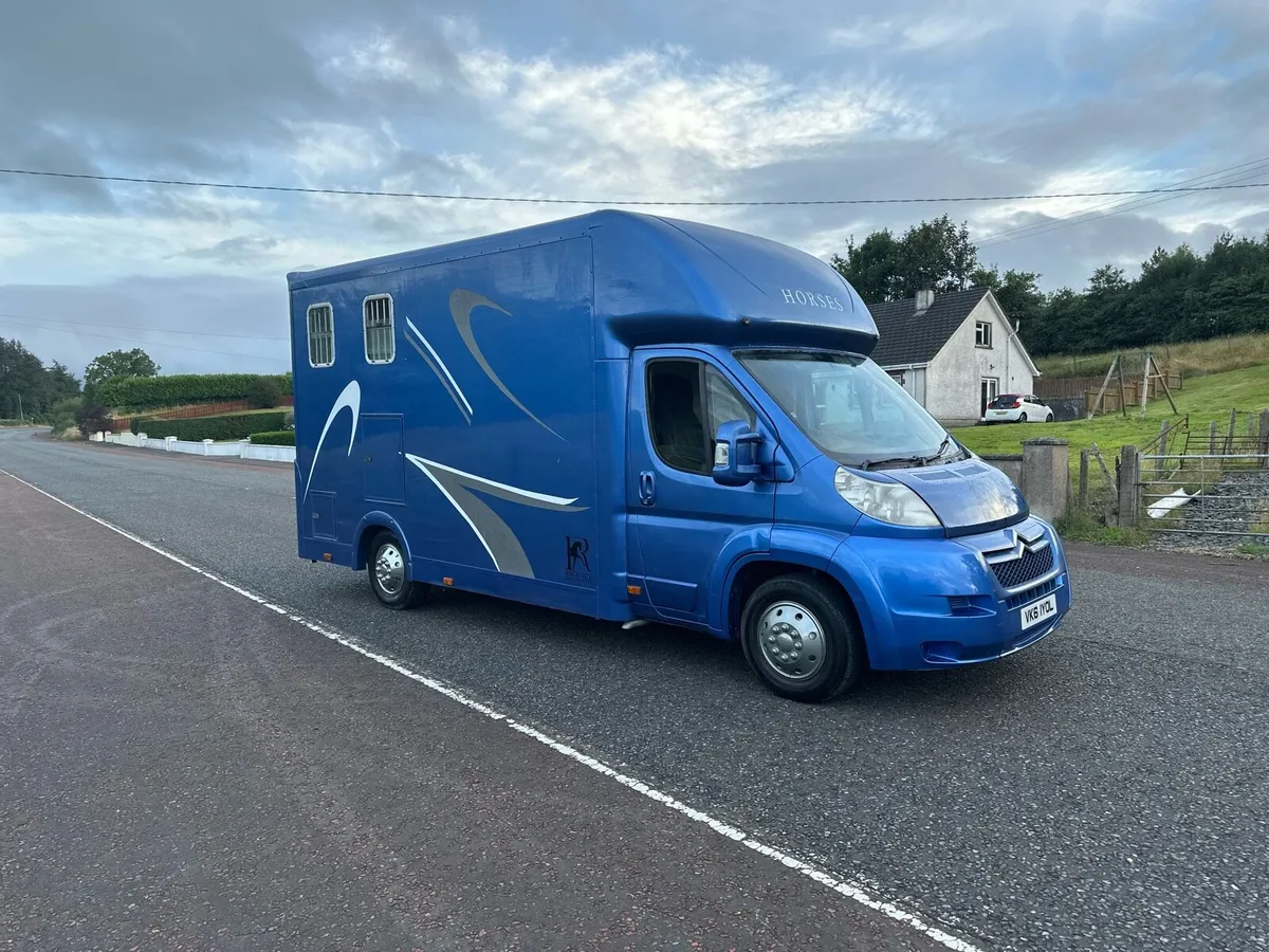 Stallion Horse Truck 2012 NI REGISTERED - Image 2