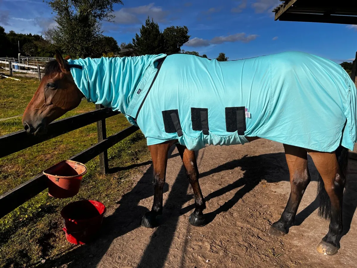 Snuggy Hood Fly rug 6’9 - Image 1