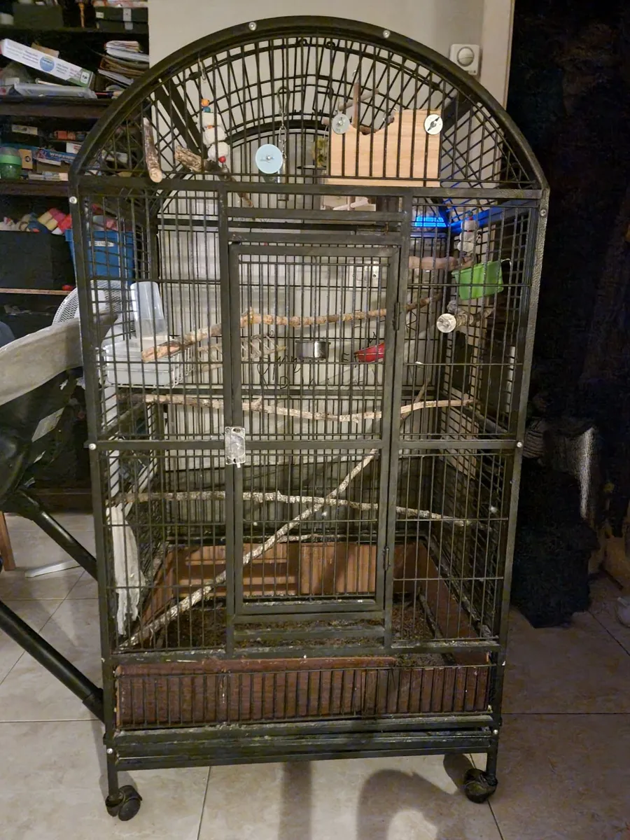 Bird's cage - Image 4