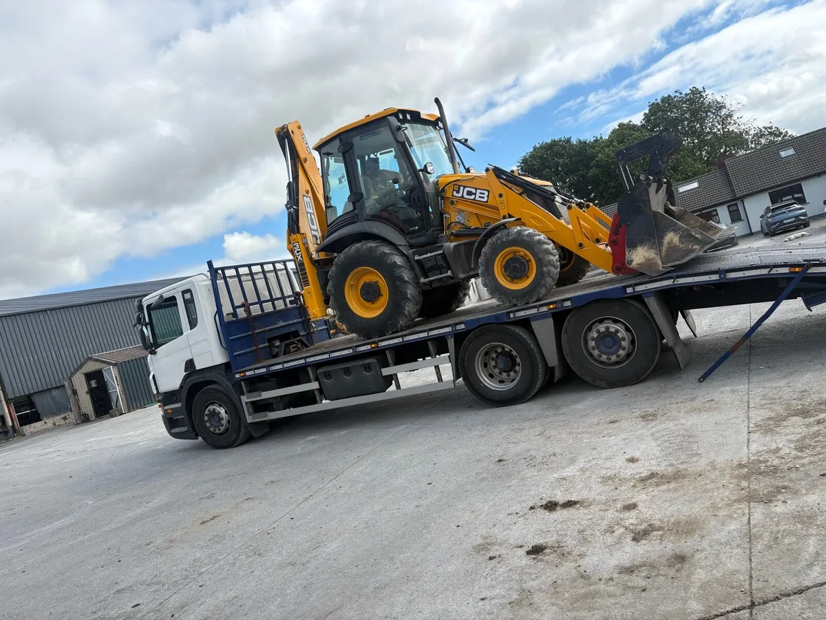 Bevertail scania - Image 3