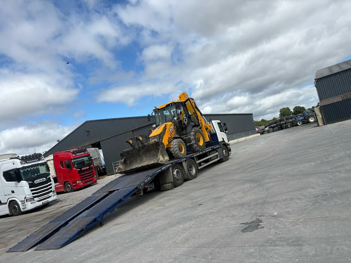 Bevertail scania - Image 4