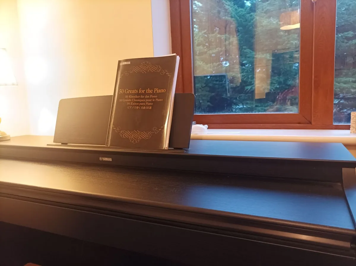 Yamaha Arius YDP163 digital piano - Image 4