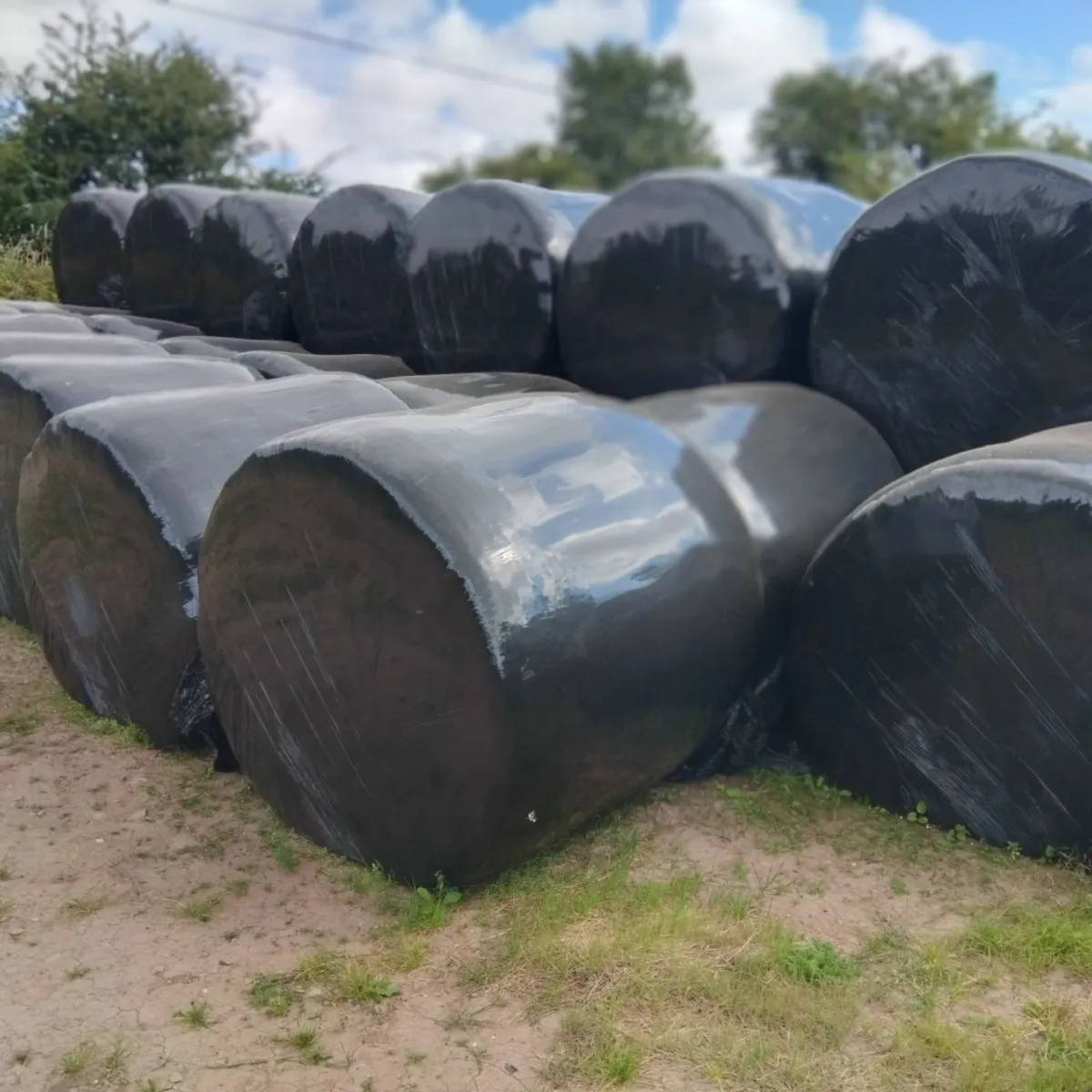 Bales of silage - Image 2