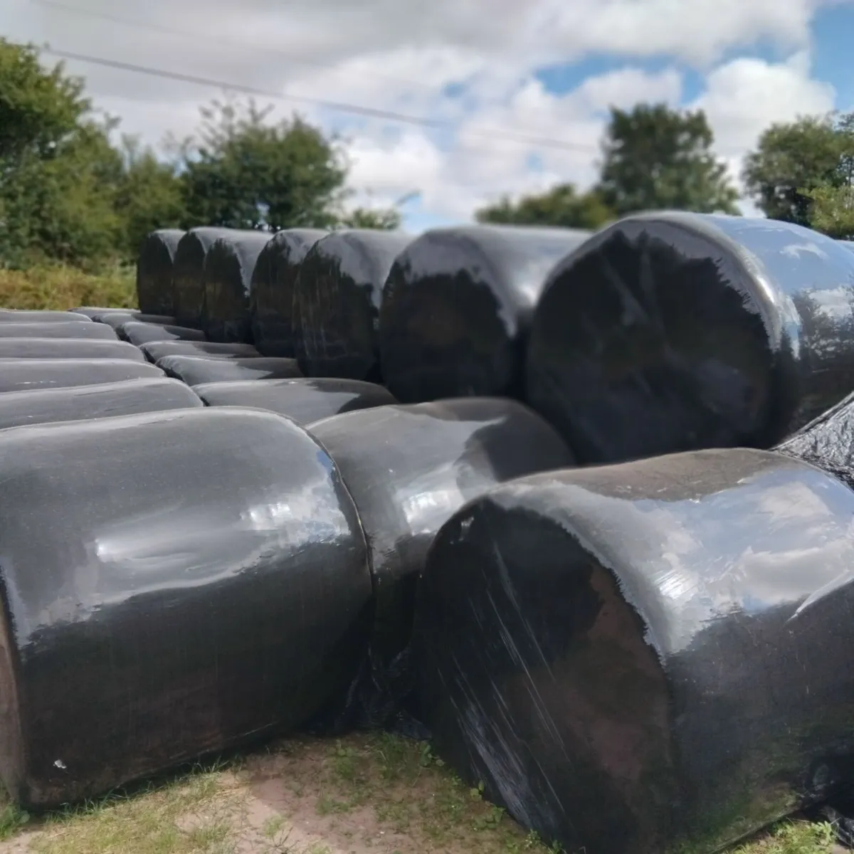Bales of silage - Image 4