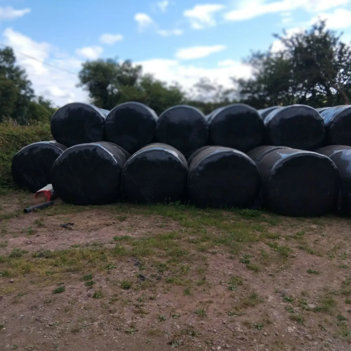 Bales of silage - Image 3