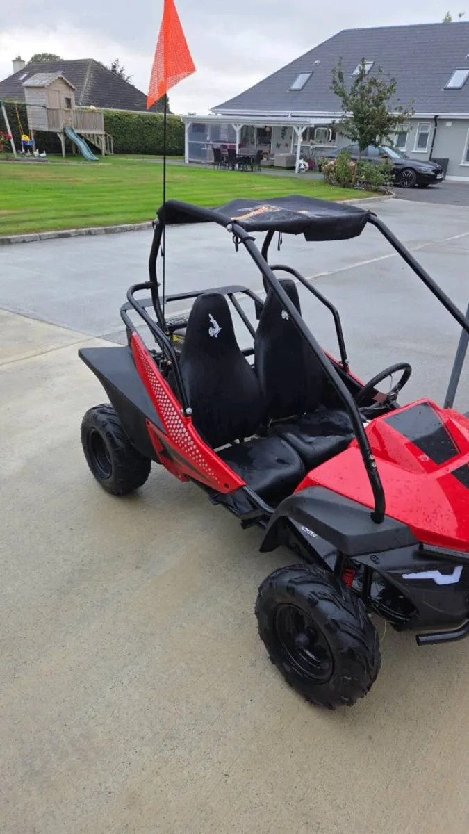 Buggy - Image 1