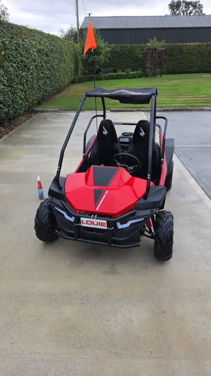 Buggy - Image 2