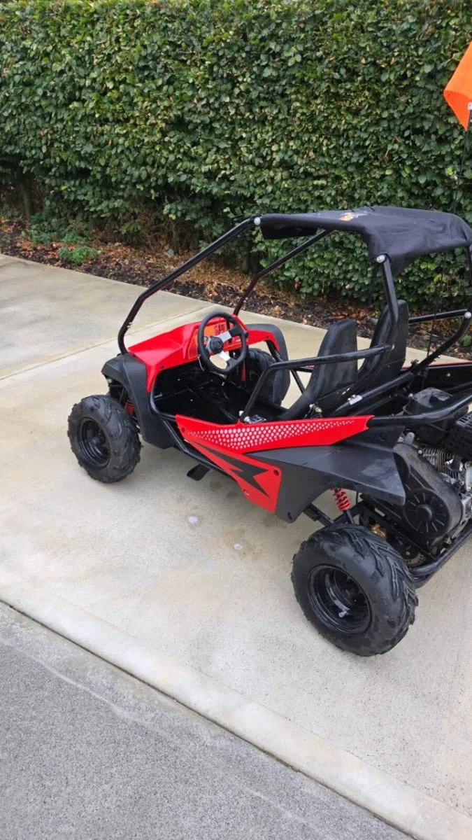 Buggy - Image 3