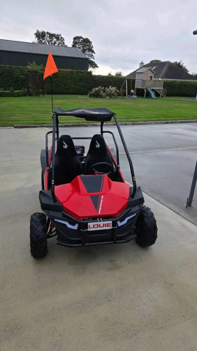 Buggy - Image 4