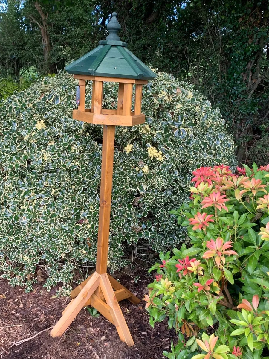 Bird House & Dovecotes - Image 2