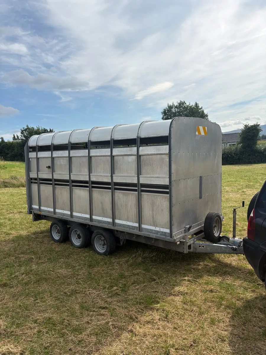 Ifor Williams 14x6”6 cattle trailer - Image 1