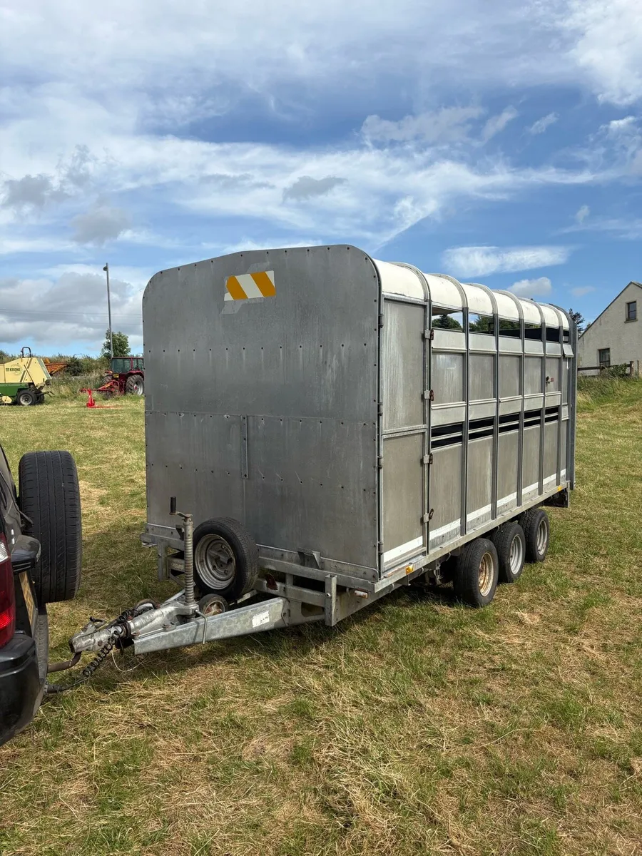 Ifor Williams 14x6”6 cattle trailer - Image 2