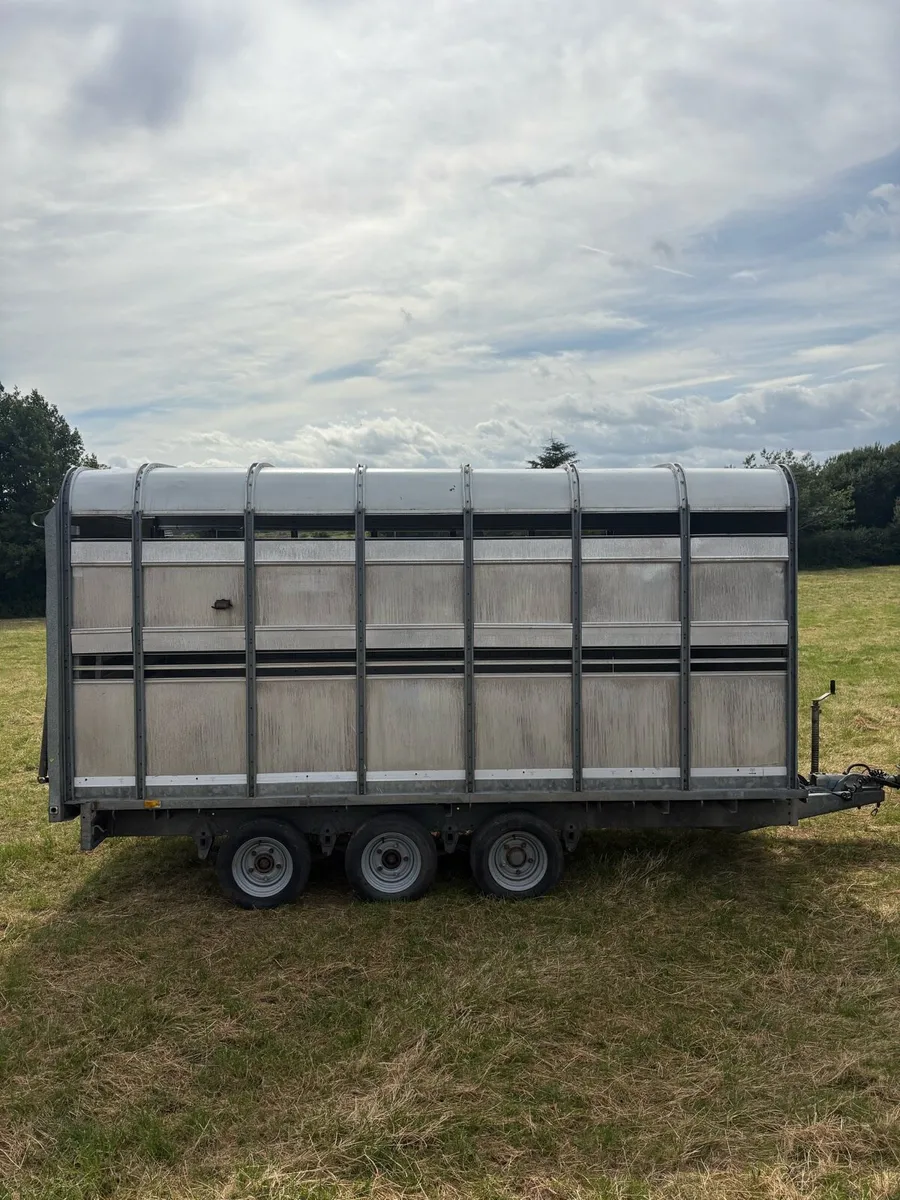 Ifor Williams 14x6”6 cattle trailer - Image 3