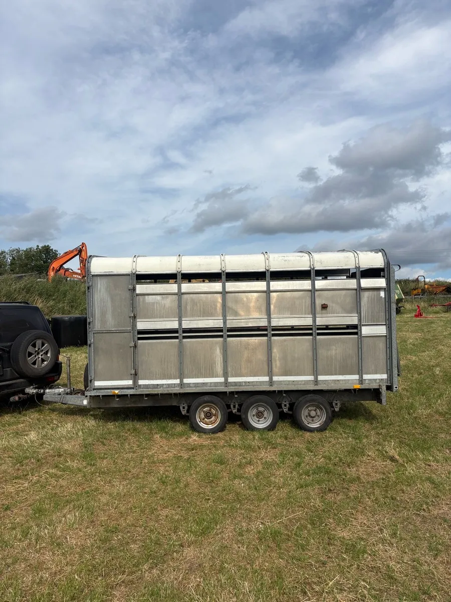 Ifor Williams 14x6”6 cattle trailer - Image 4