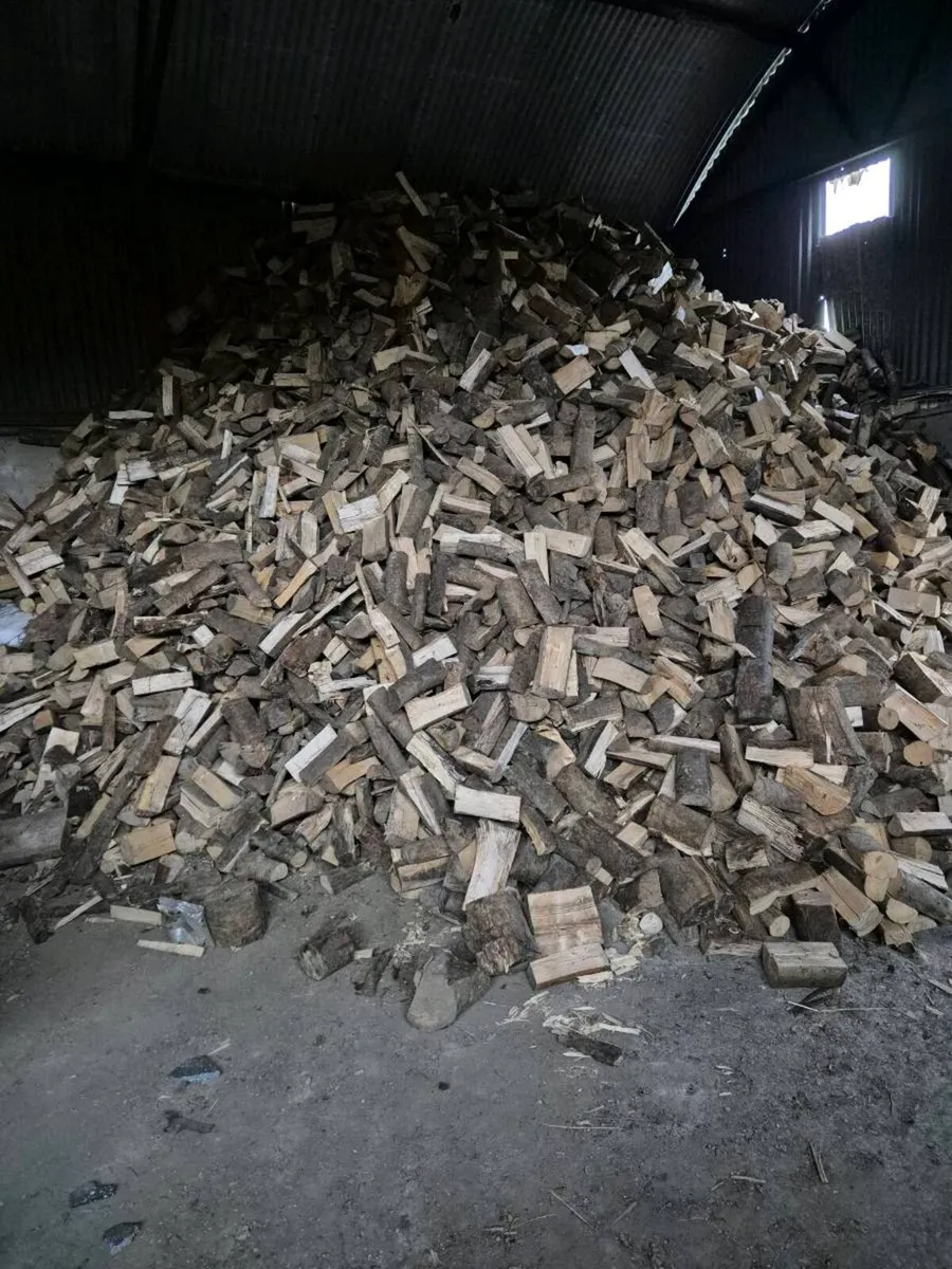 Firewood processing - Image 2