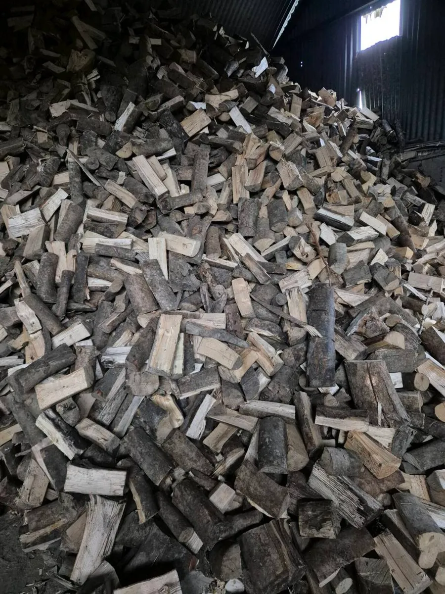 Firewood processing - Image 3