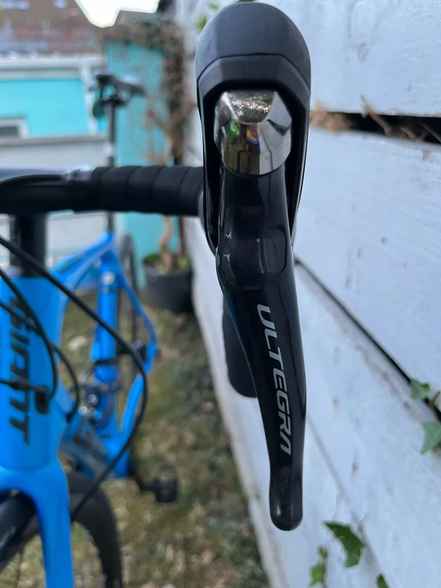 Giant TCR Advanced 1 - Size Med/Large - Image 4