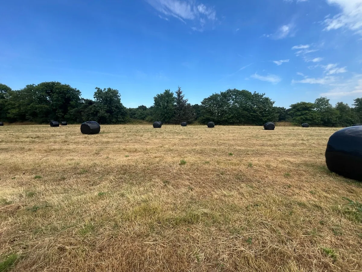 Wrapped Hay Bales - Image 2