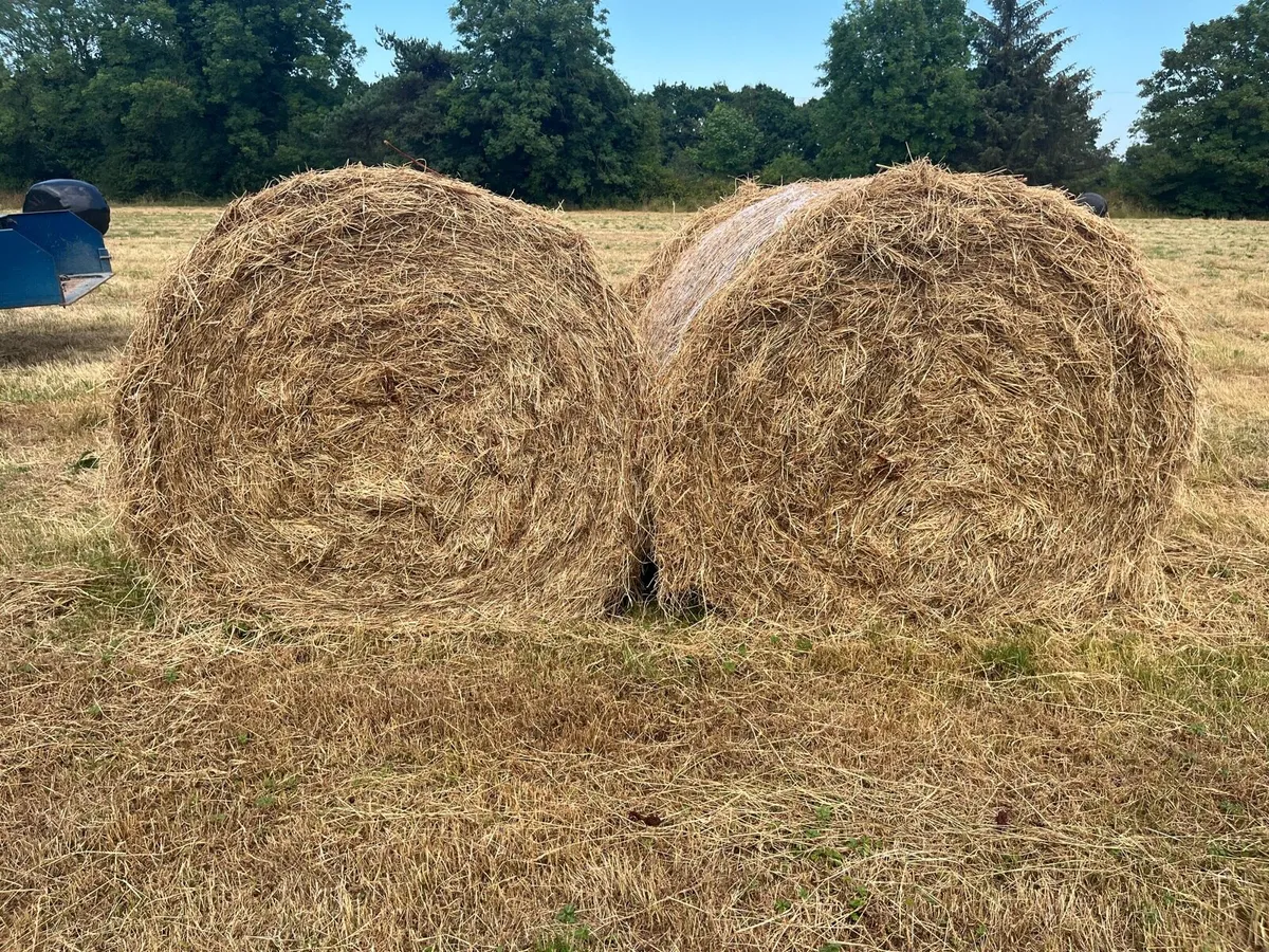 Wrapped Hay Bales - Image 1