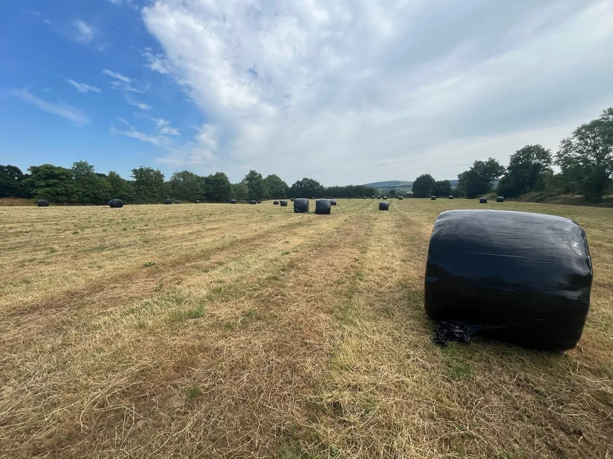 Wrapped Hay Bales - Image 3